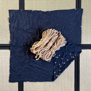 furoshiki_seed-night_example