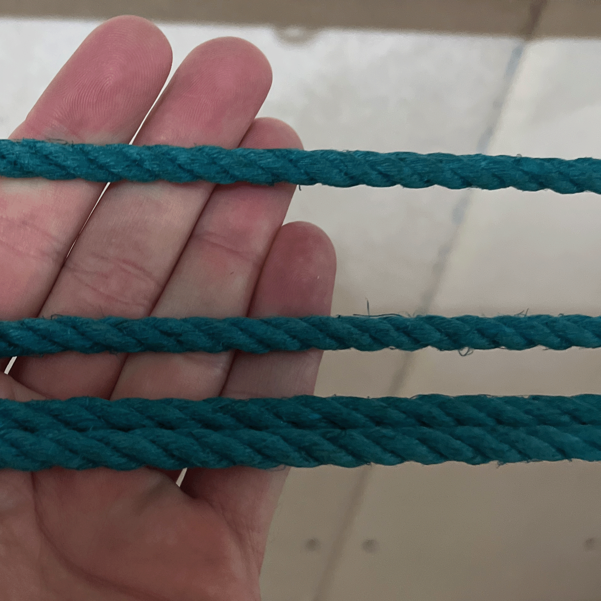 test_dyeing_dyeing_24h